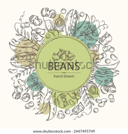 Background with vegetables: peas, beans pod, chickpea beans and lentil. Vector hand drawn illustration. Royalty-Free Stock Photo #2447495749