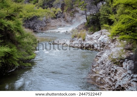 Hot springs in a zone of volcanic activity, geothermal activity in the Rotarua region in the volcanic zone of the North Island of New Zealand Royalty-Free Stock Photo #2447522447