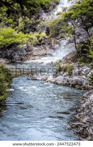 Hot springs in a zone of volcanic activity, geothermal activity in the Rotarua region in the volcanic zone of the North Island of New Zealand Royalty-Free Stock Photo #2447522473