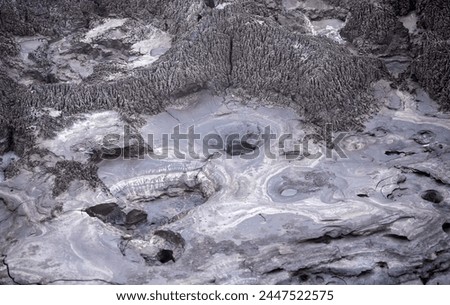 Sulfur springs, volcanic activity, zone of geothermal activity in the Rotarua region North Island of New Zealand Royalty-Free Stock Photo #2447522575