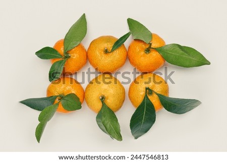 Fresh juicy orange yellow tangerines as minimal flat lay pattern, Citrus fruits with green leaves on beige table background. Still life creative idea pattern of mandarin oranges overhead, above view