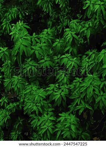 Close-up photo of lush green leaves with a textured effect. Ideal as a wallpaper or background. Enhanced with adjustments for a dark and moody theme.