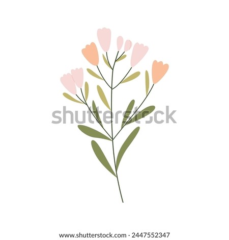 Delicate bloom wild flowers on a twig. Adorable flower clip art.  Elegant cut flowers. Spring summer decorative botanical bundle. Beautiful delicate fluffy blooms, blossomed herb, gentle wildflower.