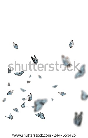 Butterflies flying virtual cg special effects film and television movie insects natural material elements fantasy photo border png mobile phone vertical screen background filter