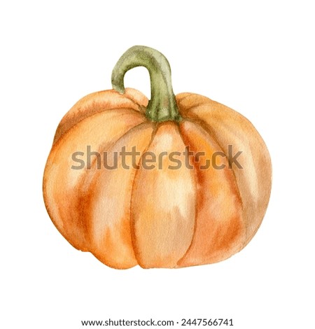 Orange autumn big pumpkin illustration. Hand drawn watercolor clip art with harvest food for fall vintage invitation design. Home decor, cozy autumn.