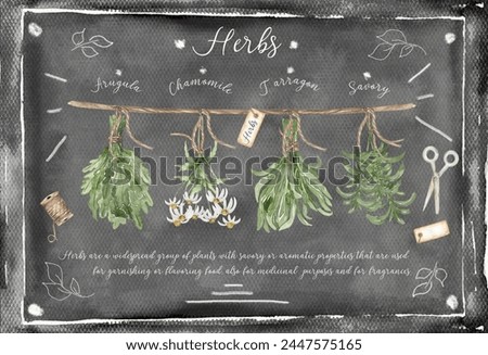 Watercolor blackboard with herbs illustration, hand drawn spices, herbs and kitchen utensil frame clipart. Healthy food clip art