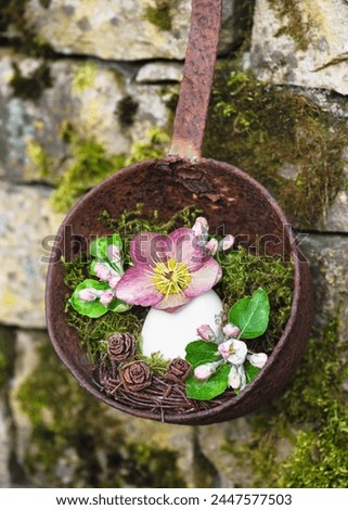 Beautiful easter floristic arrangement with Christmas rose flower apple blossoms  in an egg shell vase hanging on rusted soup ladle. Garten decoration or floristic concept 