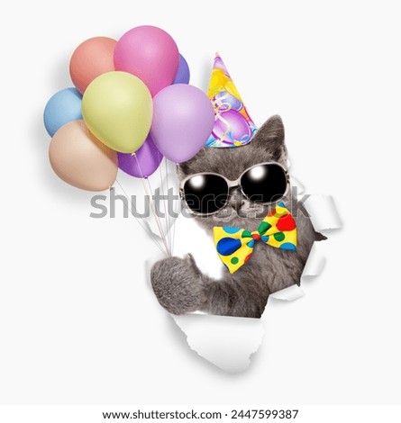 Cute kitten wearing party cap, sunglassesm and tie bow holding balloons and looking through the hole in white paper.