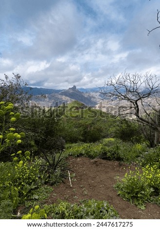 view of Bentayga rock in the top of Gran Canaria . Gran Canaria. Canary islands Royalty-Free Stock Photo #2447617275