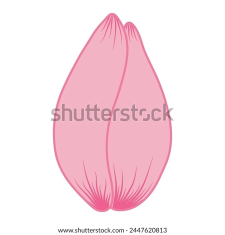 Tulip flower head hand drawn line art illustration. Spring blossom, pink bloom, floral element. Vector design, isolated. Mothers Day, Easter, seasonal, botanical clip art