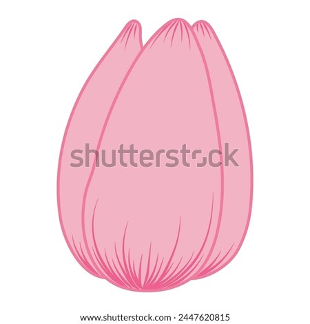 Tulip flower head hand drawn line art illustration. Spring blossom, pink bloom, floral element. Vector design, isolated. Mothers Day, Easter, seasonal, botanical clip art