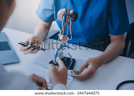 Doctor uses anatomical model to explain male urinary system. Model labeled with parts, doctor points and explains how they work together for urinary function, ensuring patient comprehension. Royalty-Free Stock Photo #2447644075