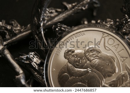 Australian pure silver coins 1 dollar Koala 2023 close-up. High quality photo