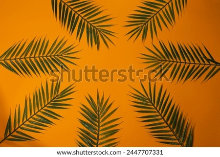 Decorative palm leaves on a yellow background