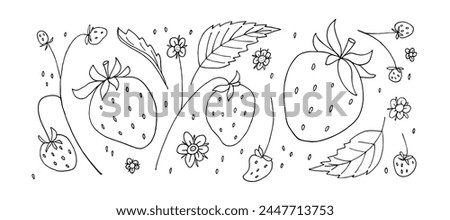 Strawberry set. Hand drawn sketch doodle illustration with berries, leaves and plant flowers. Vector natural design for sticker, logo, diet concept, market. Black and white background of strawberry.