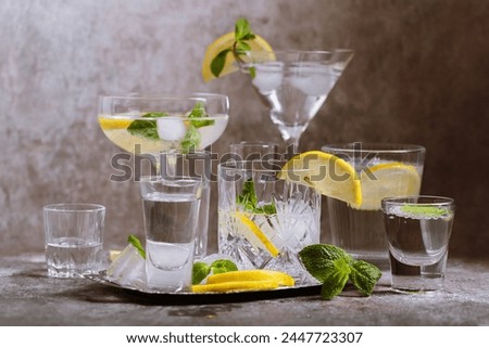 Collection of various glasses on silver tray filled with clear cold drinks with ice, lemon and mint on grunge wall background. Cocktail party
