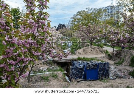 Cherry blossoms (sakura) bloomed in the Kyoto park in Kyiv against the background of defensive structures erected by the defenders of the capital at the beginning of the full-scale invasion of russia. Royalty-Free Stock Photo #2447726725