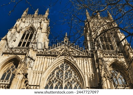Gothic cathedral facade with intricate architecture and blue sky background, framed by bare tree branches in York, North Yorkshire, England.