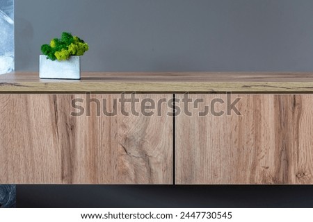 Cabinet furniture. Greens in pot on closet shelf close-up on neutral background Royalty-Free Stock Photo #2447730545