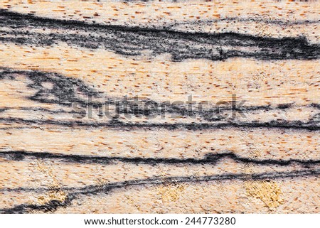 Wood background - abstract wooden retro texture