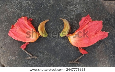 African tulip flowers (spathodea campanulata), arranged into a picture of two chickens or red birds ready to fight, abstract background