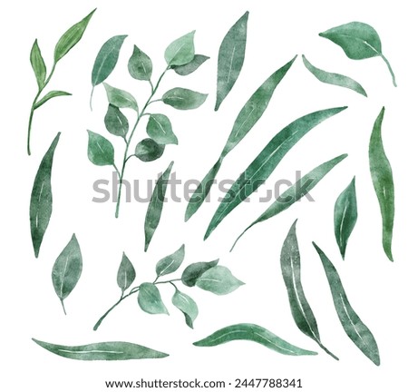 Watercolor green leaves. Plants set. Floral simple elements isolated