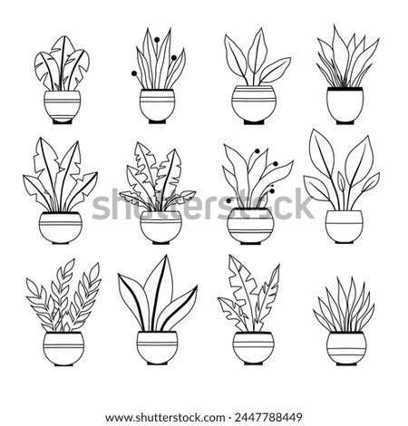 Vector set of contour various plants in pots clip arts. Collection of monochrome outline flowers in vases for home decoration.  Natural design elements for stickers, icons, hobby articles