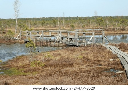 swamp landscape with wooden footbridges for tourist walks