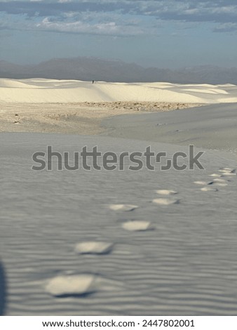 Footsteps in the sand at white sands National Park is one of the most beautiful place in the world.