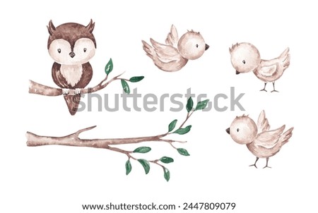Cute baby birds hand drawn with watercolor. Isolated on white. Forest animals clip art. Gender neutral characters. For kid textile, fabric, clothing, cards, invitations, wallpaper