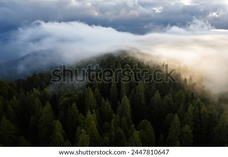 Lush green mountains shrouded in a mystical fog create a breathtaking summer landscape