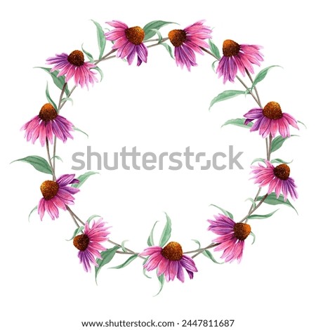 Watercolor wreath frame with herb flower Coneflower, Echinacea. Botanical watercolor illustration. For clip art cards