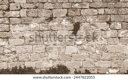 Sepia Stone Wall Texture: Ancient Masonry With Time-Worn Stones And Mossy Accents. The Full Frame Sepia-Toned Image Creates A Historic And Textured Background Royalty-Free Stock Photo #2447822055