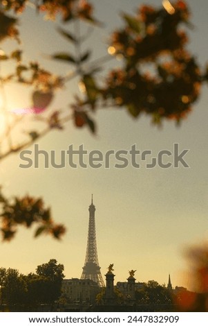 Eiffel Tower in the background of the autumn leaves