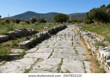 Sacred Way, Ireon archaeological site, Ireon, Samos, Aegean Islands, Greece Royalty-Free Stock Photo #2447852123