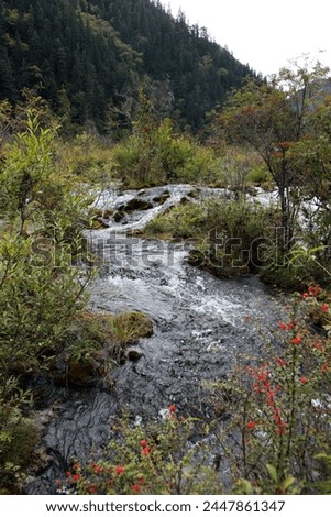 Exterior landscape natural photo view of a wild water fall of a torretn river with rocks and plants tree bushes n mountains hills in wild chinese Sichuan province  in Jiuzhaigou Valley in china, Asia