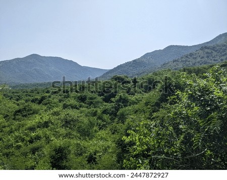 Hills in Dindigul, Kodaikanal, very beautiful pictures. This is very cool place to visit.  Royalty-Free Stock Photo #2447872927