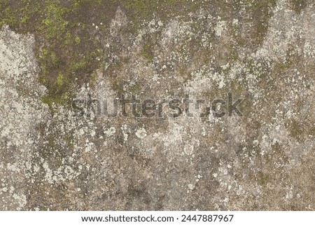old wall texture with moss and water streaks close-up. Vintage texture of old building