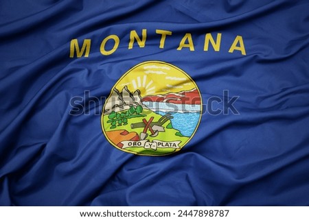 big waving colorful national flag of montana state. macro shot