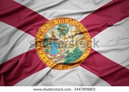 big waving colorful national flag of florida state. macro shot