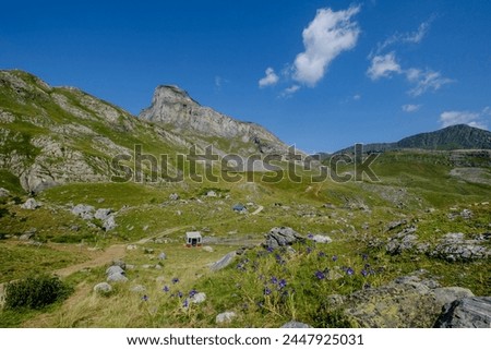 Lous Québottes sheep farm, Ayous lakes tour, Pyrenees National Park, Pyrenees Atlantiques, France