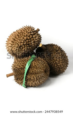 Multiple ripe durian fruits with spiky husks isolated on white background.