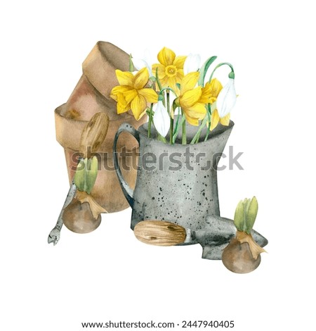 Garden tools and flowers composition with yellow daffodils, ceramic brown flower pots and small shovel. Florist arrangement, floral clip art for garden shop, label, logo design
