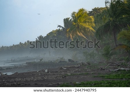Beautiful picture of the black beach on the Caribbean coast from Tortuguero National Park, Costa Rica