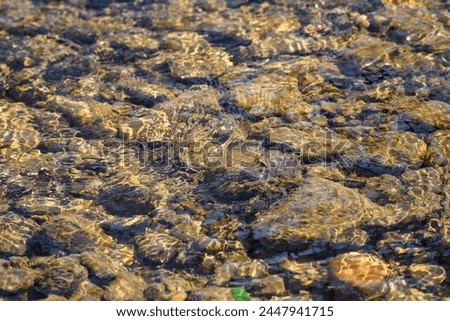 Sunlight dancing on a shallow riverbed with clear water and stones. Natural patterns and textures concept for design and print