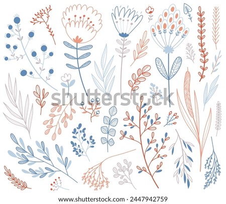 Set of vector hand-drawn floral elements, plants and flowers. Isolated on a white background. Doodle floral collection.