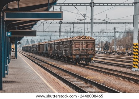 Timber on the freight train. Transportation and sustainable development theme. Spring foggy morning at the train station. Rail transport. Wagons laden with wood. Royalty-Free Stock Photo #2448008465