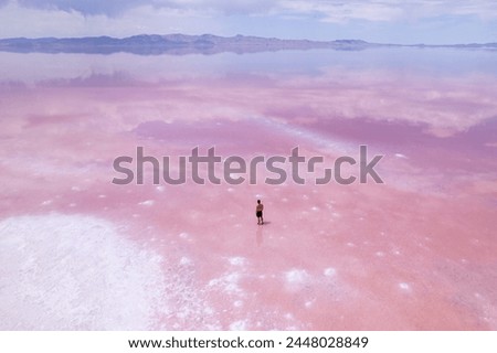 Aerial of person standing in Pink Salt Lake in Utah near Salt Lake City.  Located in the Southwest of the USA and shot on a drone.