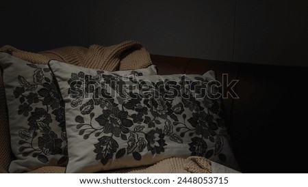 Close up of black embroidered floral pillows on beige sofa in a dark room, low angle view with low light and chiaroscuro lighting creating cinematic volumetric lighting effects.  Royalty-Free Stock Photo #2448053715