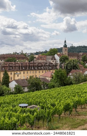 View over the vineyards to the historic old town of Bamberg from Michaelsberg. Royalty-Free Stock Photo #2448061821